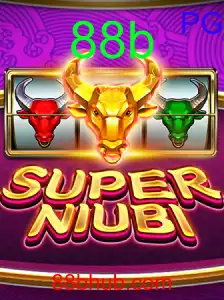 SuperNiubi